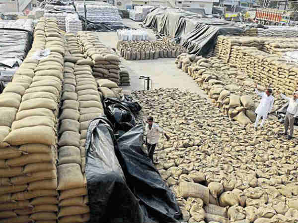 wheat Procurement wheat Procurement