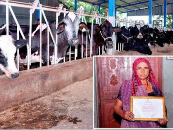 ऐसे होती है जानवरों की सेवा 