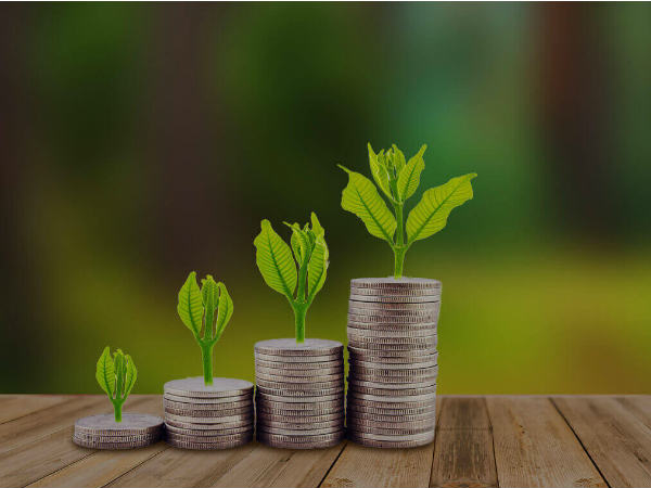 ऐप्लिकेशन सॉफ्टवेयर डेवलपर (Application software developer) बन करें कमाई