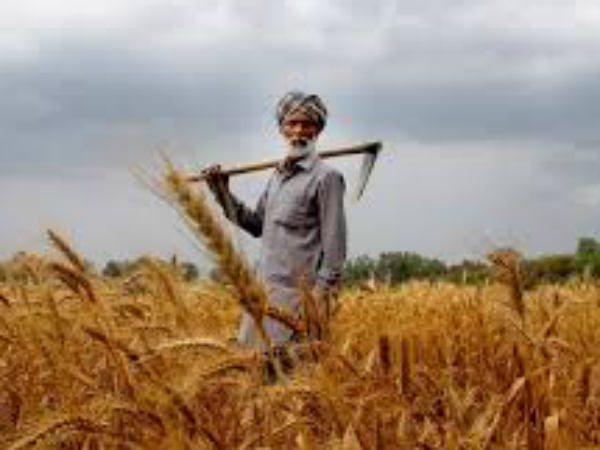 12 राज्यों में सबसे ज्यादा बड़े किसान (farmer) 