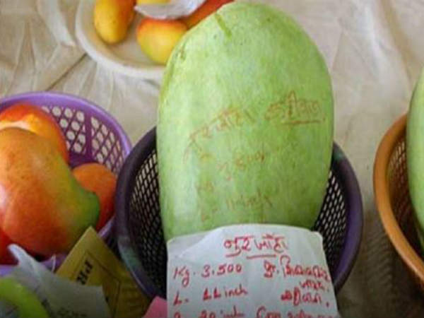 1200 रुपये से ऊपर निकला इस आम का रेट 