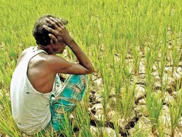 लक्ष्‍यदीप और पश्चिम बंगाल में एक भी रजिस्‍ट्रेशन नहीं 