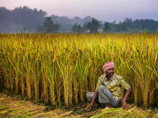 वेबसाइट में दिए गए आंकड़ों के अनुसार 