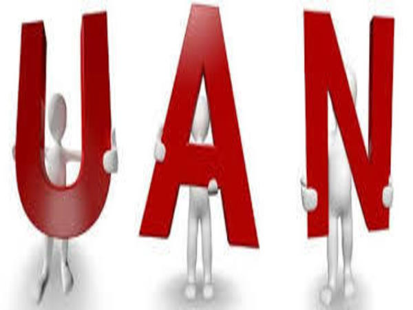 You Can Generate Online UAN Number Know The Complete Process You Can Generate Online UAN Number Know The Complete Process