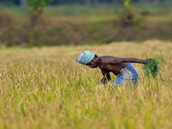 पीएम किसान सम्मान निधि के लिये ऐसे करें आवेदन