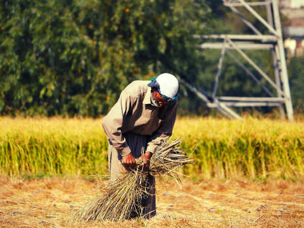 पैसा न मिला तो करें शिकायत