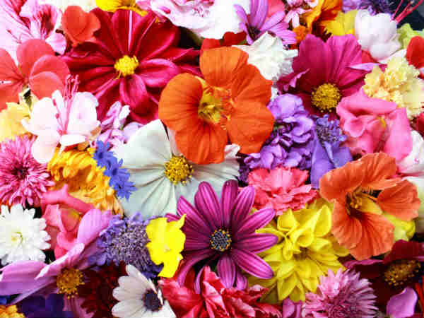 इनोवेटिव बन कर कारोबार करें