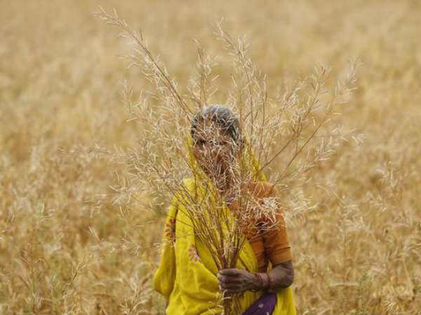 पीएम किसान ऐप से भी ले सकते हैं मदद