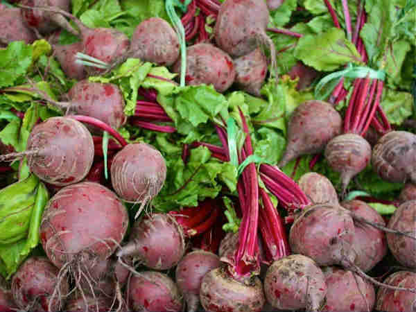 किसानों ने किया सफल परीक्षण