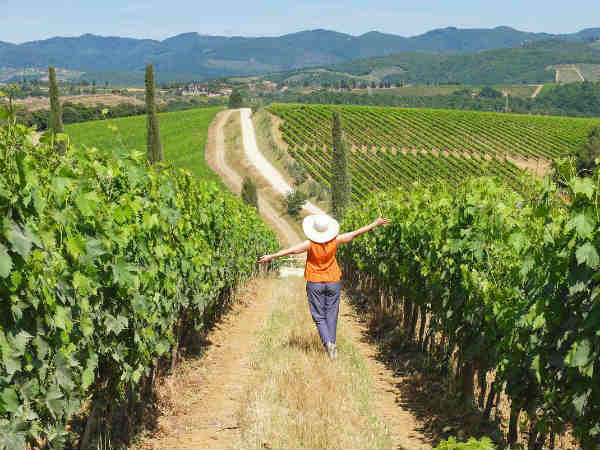 फल-फूल रहा कारोबार