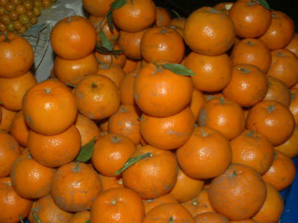 दबा कर हो रही कमाई