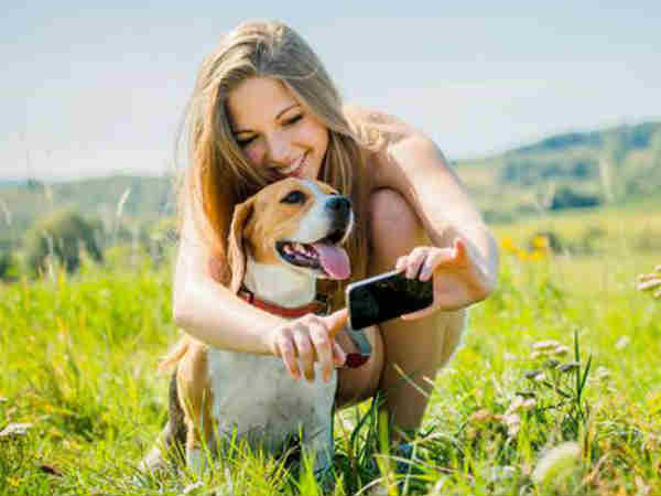  डॉग पर आरएफआईडी टैग लगा है तो 5% छूट