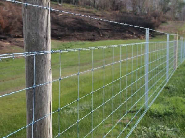 राजस्थान तारबंदी योजना के जरूरी उद्देश्य :