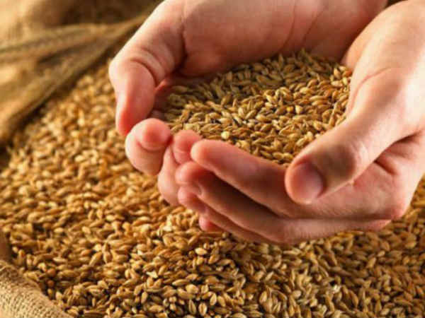 क्या मिलेंगे राशन कार्ड पर आपको लाभ :