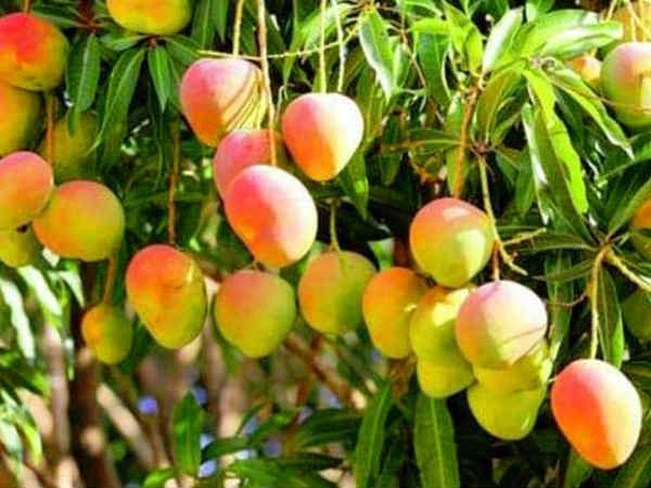 निर्यात बढ़ाने पर जोर