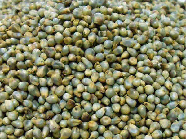 मुनाफा और बेहतर कमोडिटी