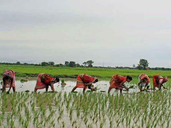 किसानों की बढ़ेगी इनकम