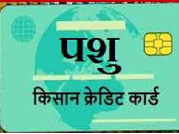 पशु किसान क्रेडिट कार्ड के फायदे