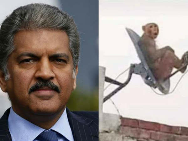 मिल रहे मजेदार