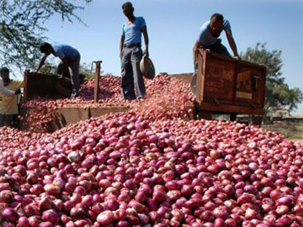  इन वजहों से बढ़ें प्याज के दाम