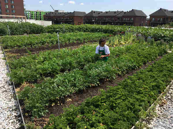 पैसों की भी होगी मदद