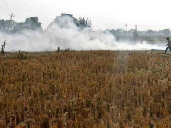 ऑस्ट्रेलिया से नई सोच के साथ लौटे