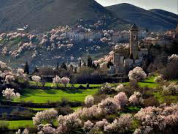 कितने लोगों ने किया आवेदन