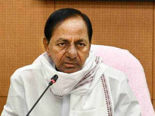 नये साल का तोहफा