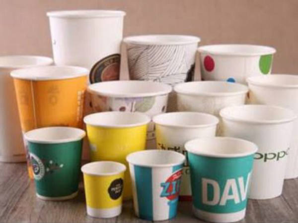 कितनी होगी कमाई