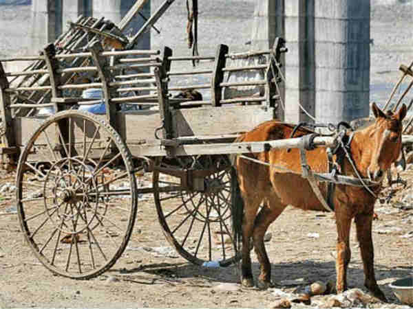 कहां से की कंपनी की शुरुआत
