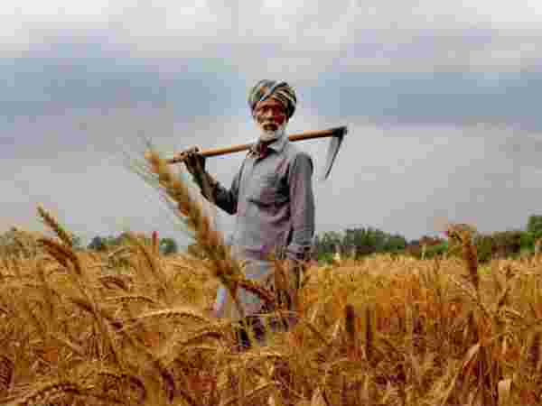  नइ राज्यों में हुए सबसे ज्यादा रजिस्ट्रेशन 