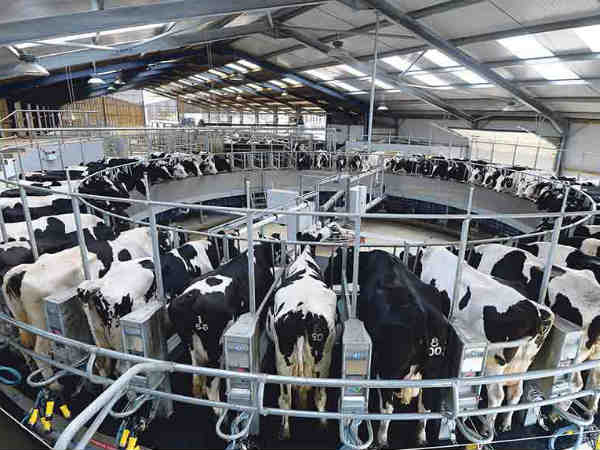 कितनी हुई पिछले साल कमाई