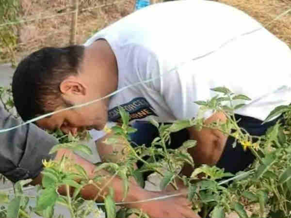  धोनी खेती के भी बिजनेस में उतर चुके