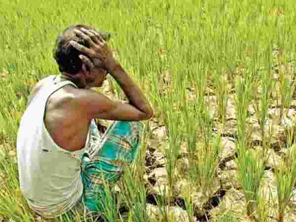  ऐसे जानें आपको अबतक कितनी किस्त मिली