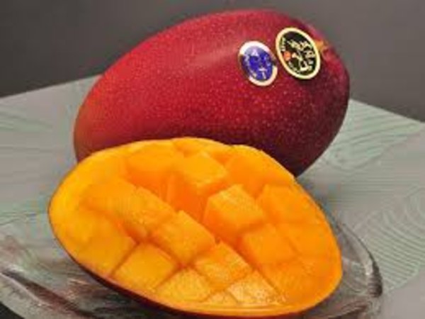 कमाल का है ये आम