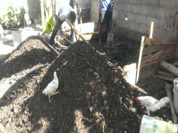 जानिए गांव की बाकी सुविधाएं