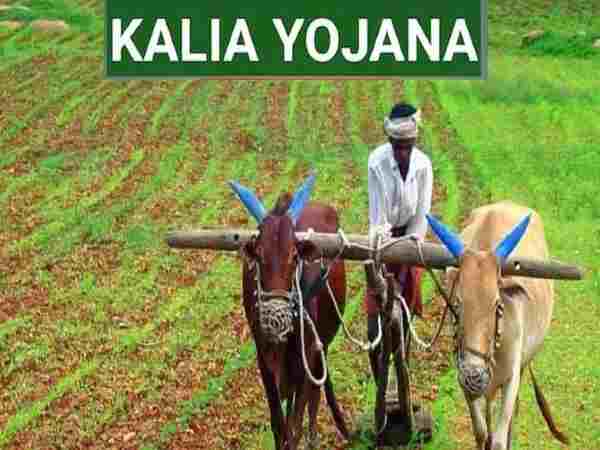  किसानों को दो किस्तों में द‍िए जाते है 25 हजार रुपए