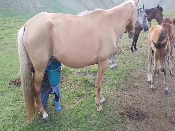 क्या-क्या होता है तैयार