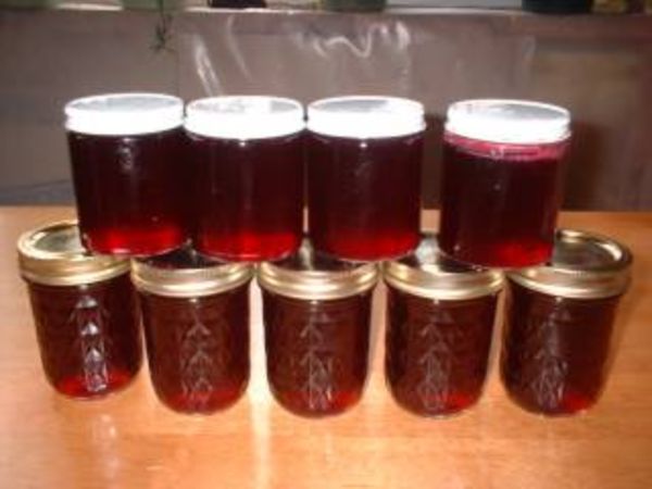 लाइसेंस की होगी जरूरत