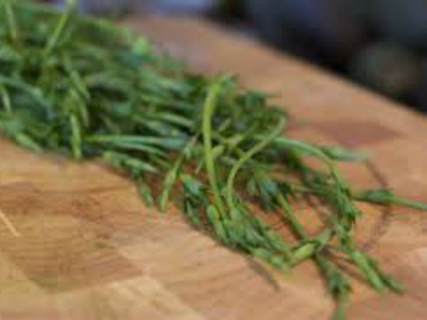 कब हुई थी शुरुआत