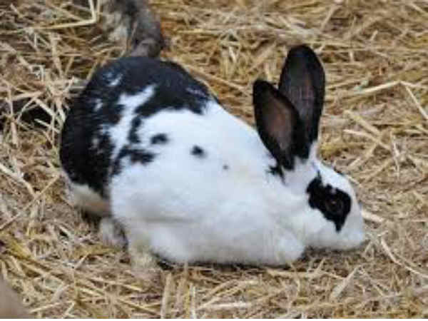 किस चीज पर कितना खर्च