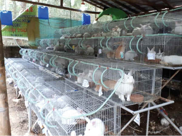 ले सकते हैं ट्रेनिंग