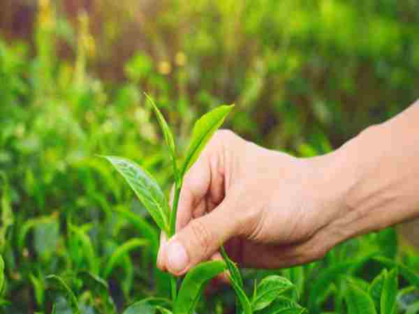  मार्केटिंग से भी बढ़ा सकते हैं बिजनेस