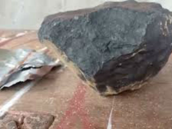 तीन दशक में मिला ऐसा पत्थर