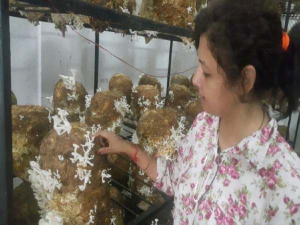 कितने तरह के हैं मशहूर