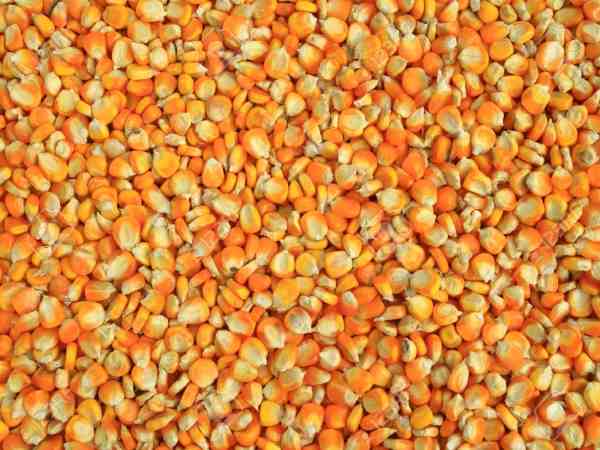 टोयोटा को होगा फायदा