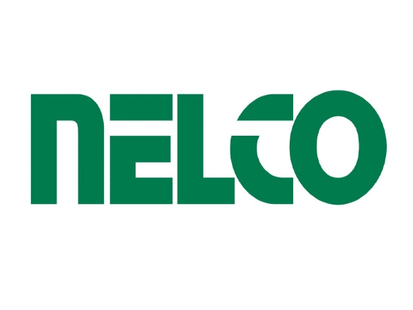 स्मॉल कैप कंपनी है नेल्को