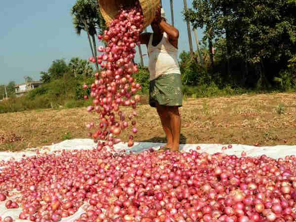 किस रेट पर सरकार बेच रही प्याज