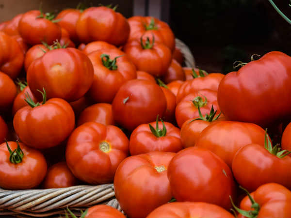 टमाटर के दाम