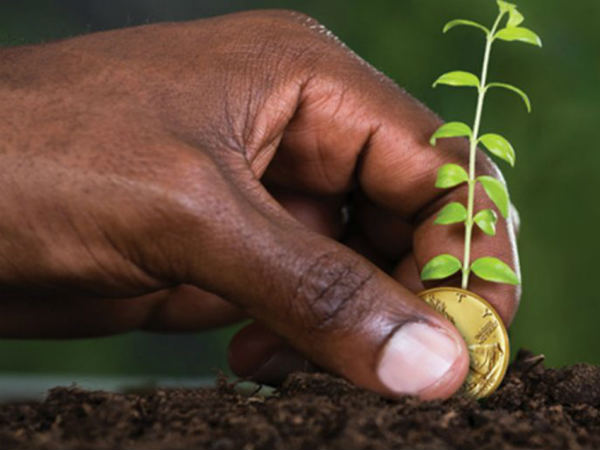 जानिए डॉग कॉइन क्रिप्टोकरेंसी ने 1 साल में कितनी कराई कमाई